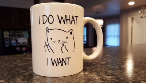 I Do What I Want Mug