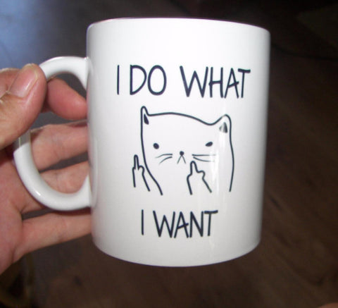 I Do What I Want Mug